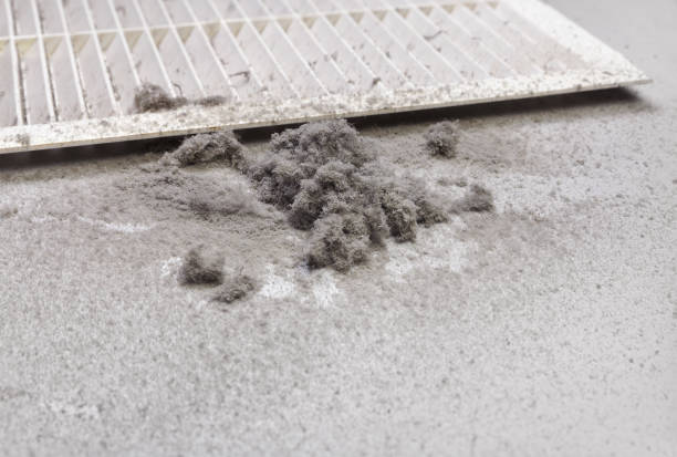 Best Air Duct Cleaning Company Near Me  in Mount Carmel, IL